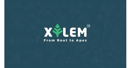Xylem Root to Apex